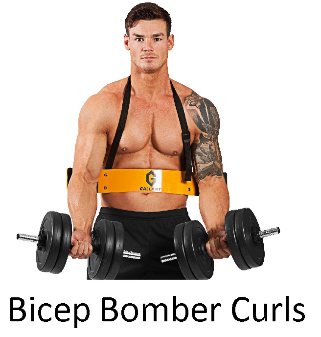 Cannon Curl Arm Blaster Arm and Bicep Support 