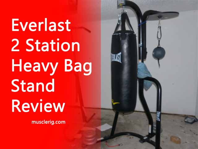 Everlast 2 Dual Station Heavy Stand Review, Alternatives, Guide