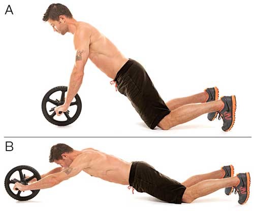Ab Wheel Roller Basic Workout Exercise