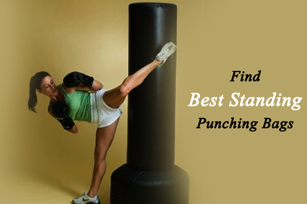 best standing punching bags to buy online for Home Gym Beginners