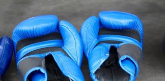 Everlast Pro Style Punching Gloves – 200+ Reviews Everlast Martial Arts Heavy Bag Gloves – 300+ Reviews Venum Elite Boxing Gloves – 250+ Reviews RDX Ego Heavy Bag Boxing Gloves – 300+ Reviews Venum Challenger 2.0 Boxing Gloves – 300+ Reviews Everlast Pro Style Boxing Gloves for Women – 100+ Reviews