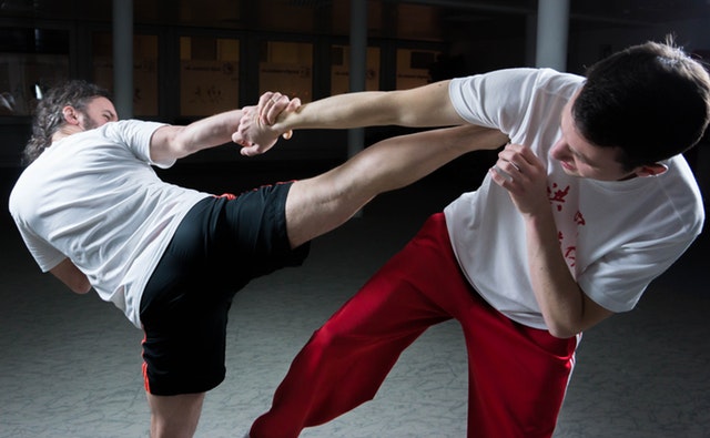 shaolin kung fu techniques